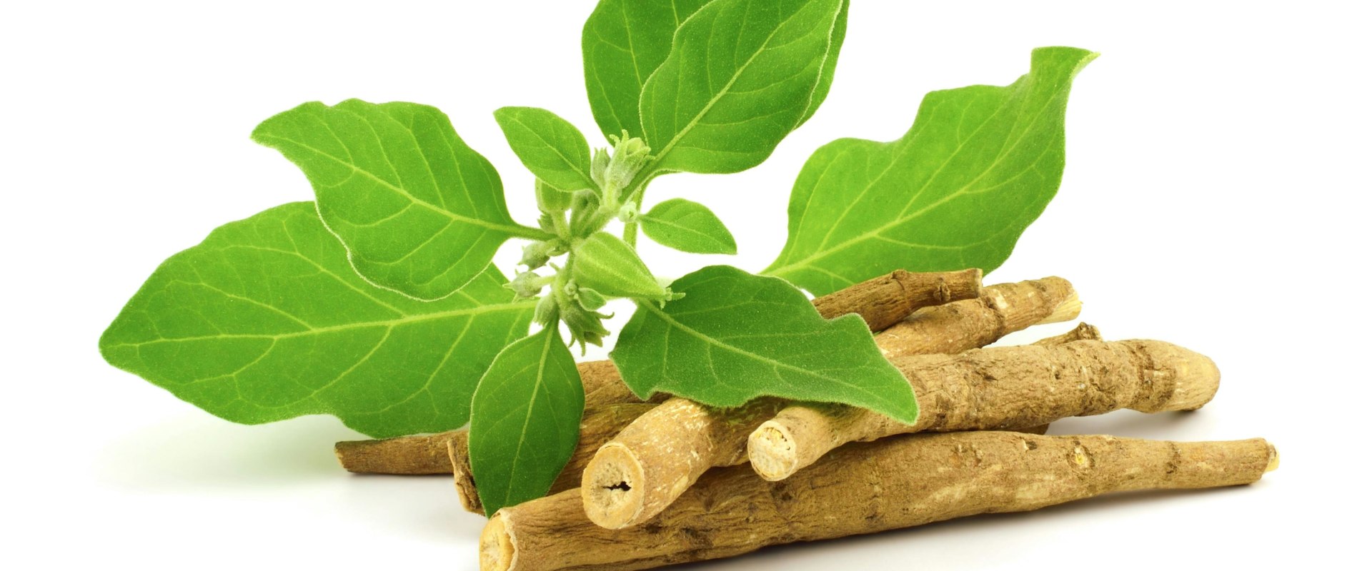Unlocking the Benefits of Ashwagandha: Insights from Experts