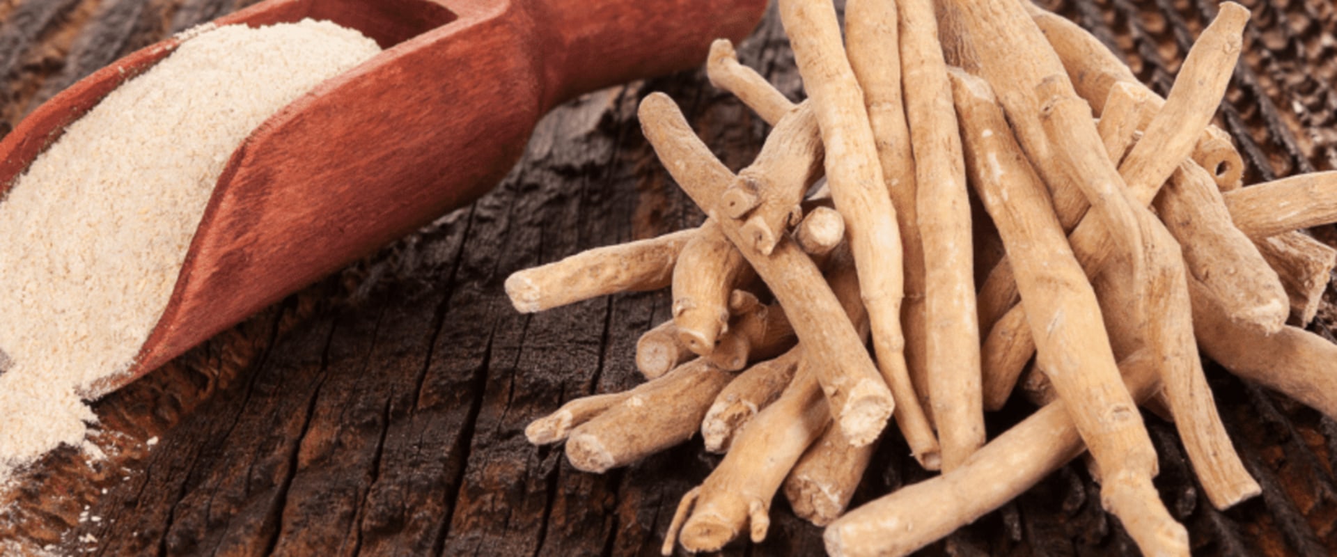 The Truth About Long-Term Use of Ashwagandha: An Expert's Perspective on Its Benefits and Risks