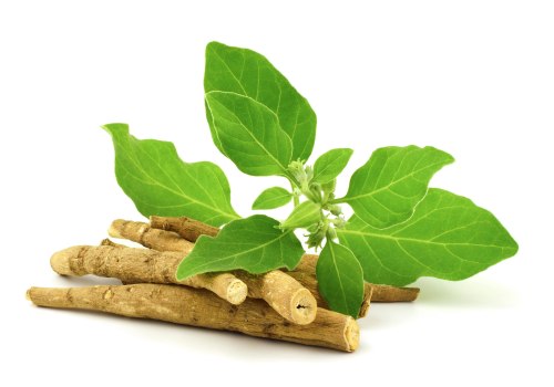 Unlocking the Power of Ashwagandha: An Ayurvedic Expert's Perspective